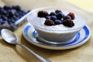 chia-pudding