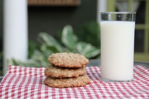 homemade-nut-milk